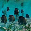 Del agua 6